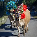 Bommerhof Agroturismo