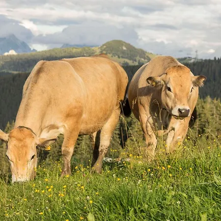 Bommerhof * Вайдринг