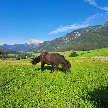 Alojamento de Turismo Rural Bommerhof *