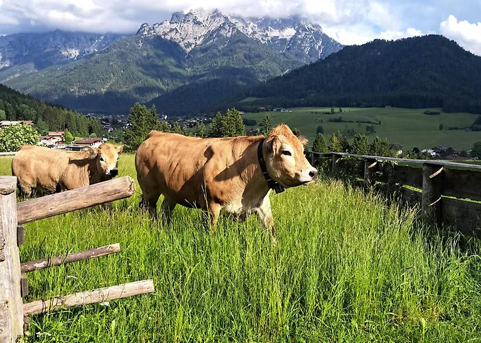 Bommerhof * Waidring