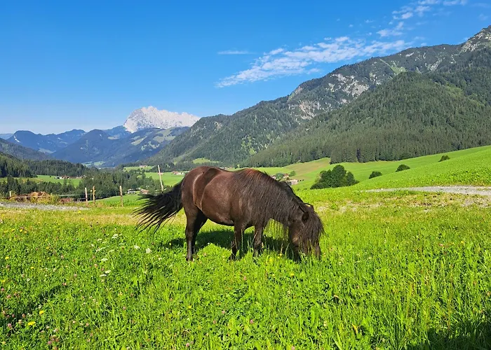 Séjour à la ferme Bommerhof *