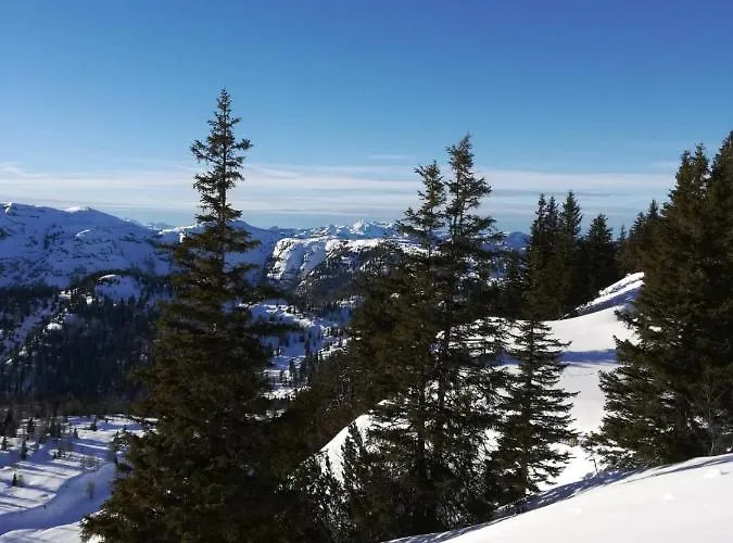 Bommerhof Κατάλυμα σε φάρμα
