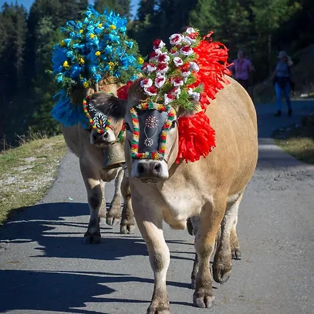 Bommerhof ファームステイ