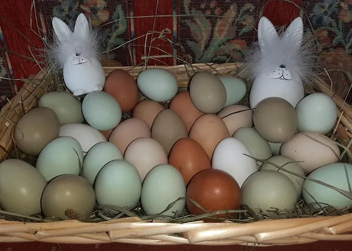 Bommerhof Feriegård