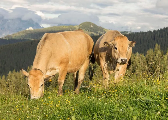 Bommerhof * Waidring